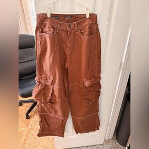 wild fable Cargo Pants in Rust